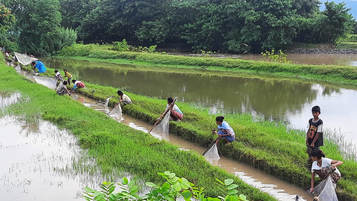 Himvat Institute Research Higlight Image